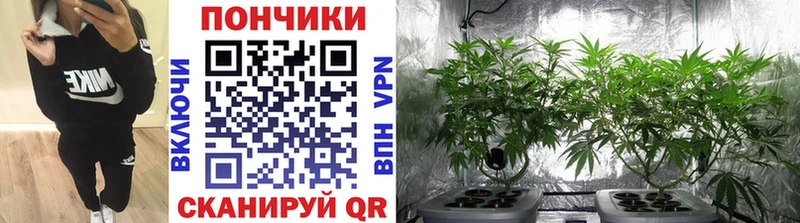 цена   Сурск  кракен рабочий сайт  Канабис Bruce Banner 